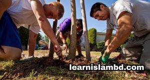 Gather To Inspiring And Plant 50 Trees ,learnislambd.com